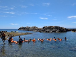 114.06.23龍洞灣浮潛活動:PXL_20250623_025857010